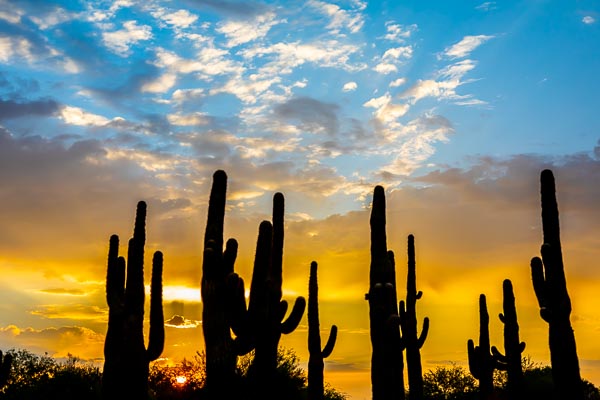 Desert sunrise - Be a Yes to every new day